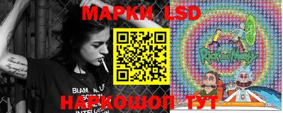 дмт Новокубанск